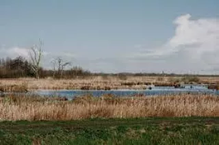 Kunst in de openbare ruimte - Into Nature - De Onlanden
